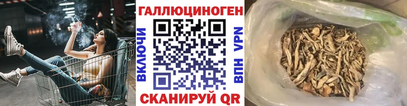 Псилоцибиновые грибы прущие грибы  Кулебаки 